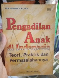 Pangadilan Anak Di Indonesia : Teori, Praktik Dan Permasalahannya